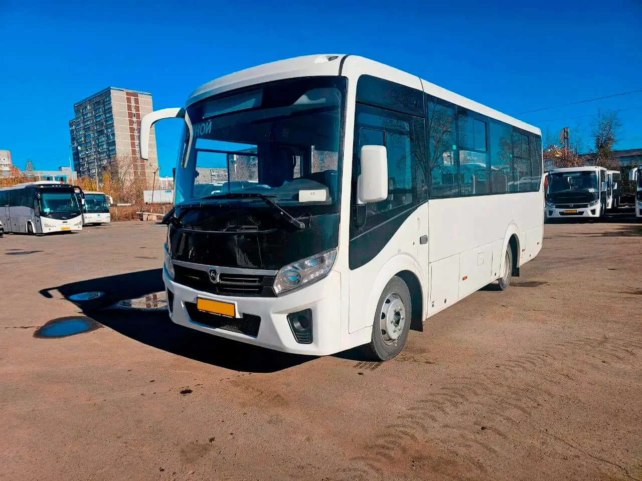 Аренда ПАЗ Вектор Next на 30 мест Аренда ПАЗ Вектор Next на 30 мест