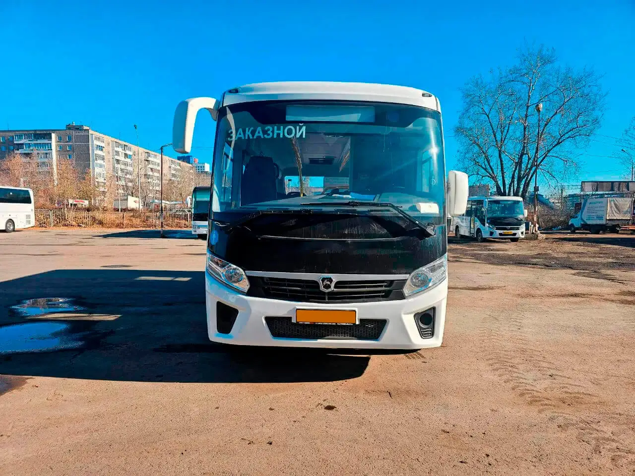 Аренда ПАЗ Вектор Next на 30 мест Аренда ПАЗ Вектор Next на 30 мест